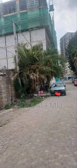 Photo - የሚሸጥ ቦታ ወሎ ሰፈር ወንጌላዊት ህንፃ ጀርባ 290 ካረረ 32 ሚሊዮን ብር