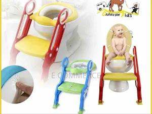 Photo - Potty Trainer With Ladder