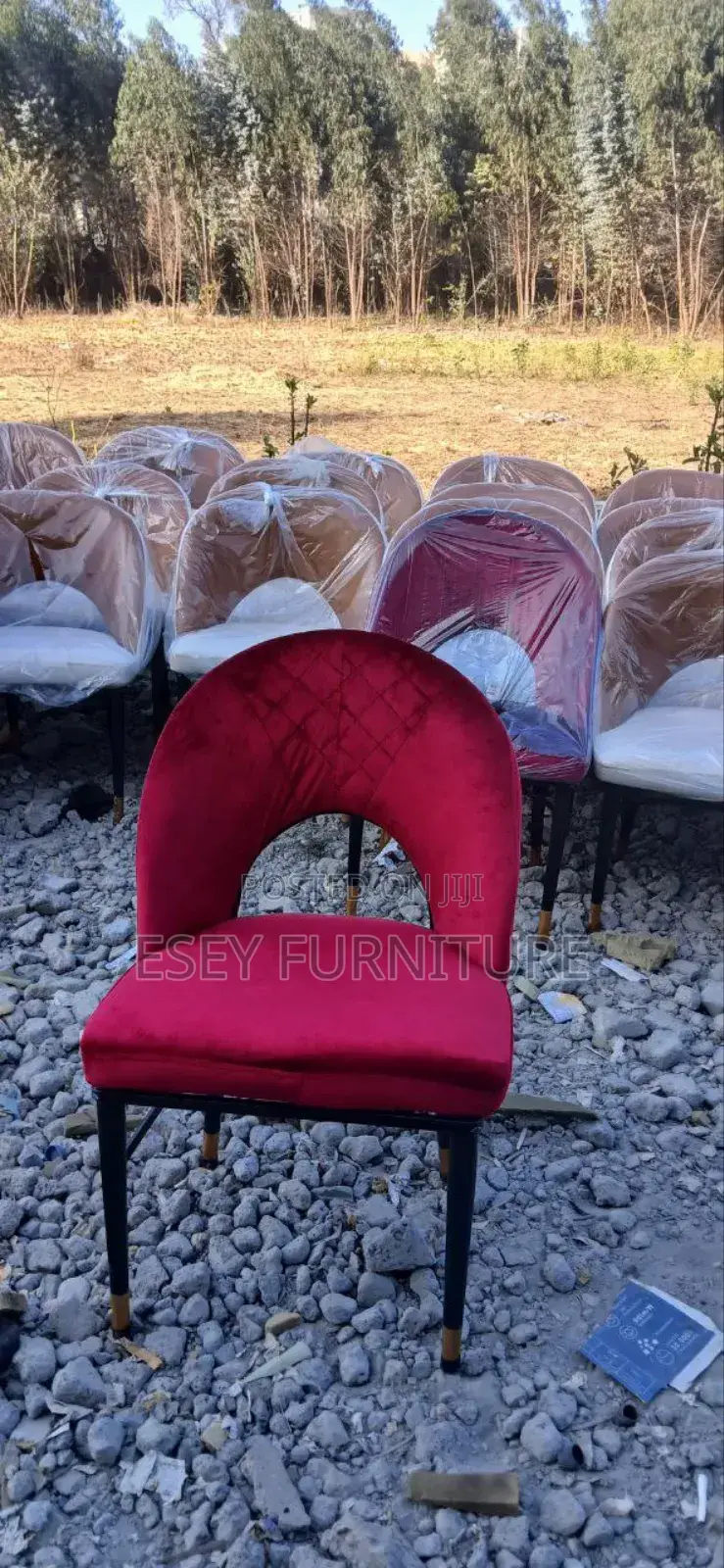 Hotel Restaurant Chairs