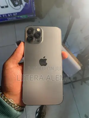 Apple iPhone 12 Pro Max 256 GB Gray