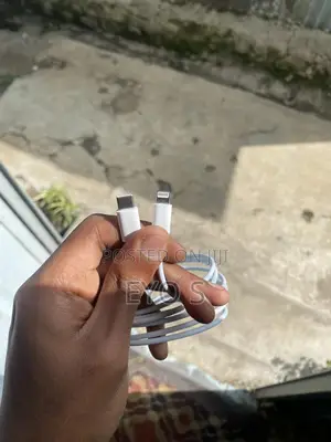 iPhone Fast Charge Cable