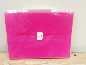 Noti Expanding File Organiser