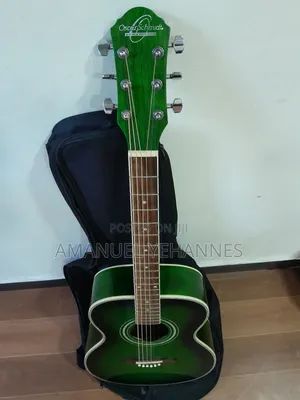 Washburn Acoustic Guitar