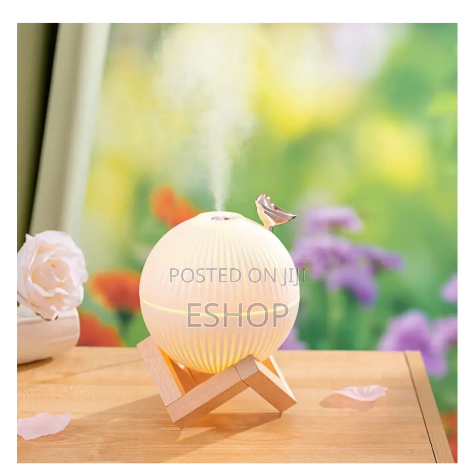 **Eco-Friendly Humidifier – No Noise Pollution**