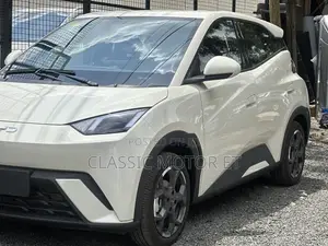 New BYD Seagull 2025 Beige