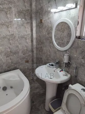 Furnished 11bdrm House in Bole Arabsa for sale