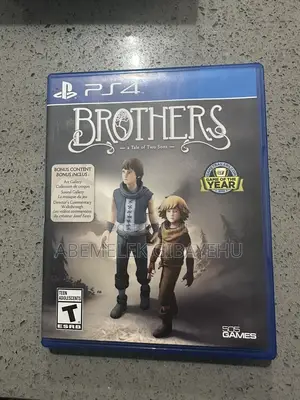 Brothers: A Tale of Two Sons