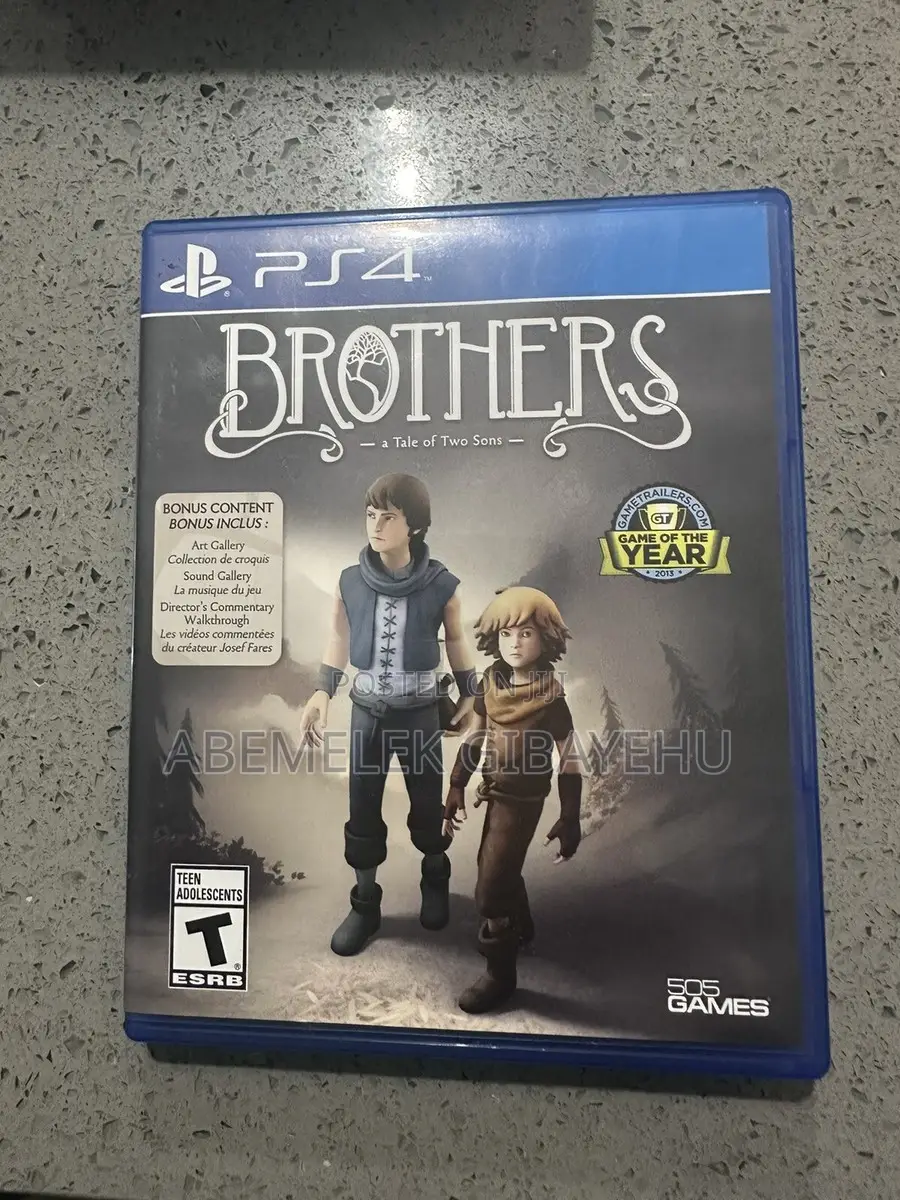 Brothers: A Tale of Two Sons