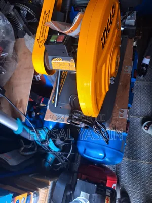 Cut Off Dinamo Ingco