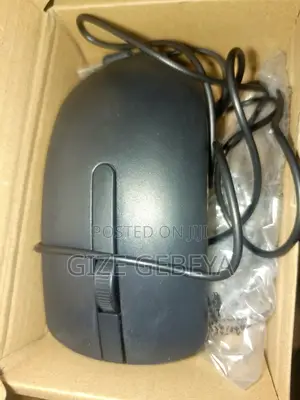 Photo - Original Mouse