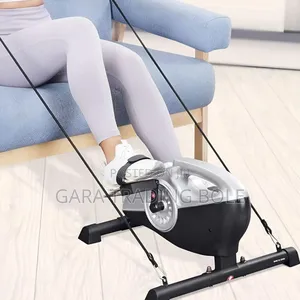 Gym Home Exercise Bike Mini