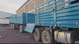 ከነተሳቢው •2024 •a-31 ባንክ 8 ሚሊየን አለበት