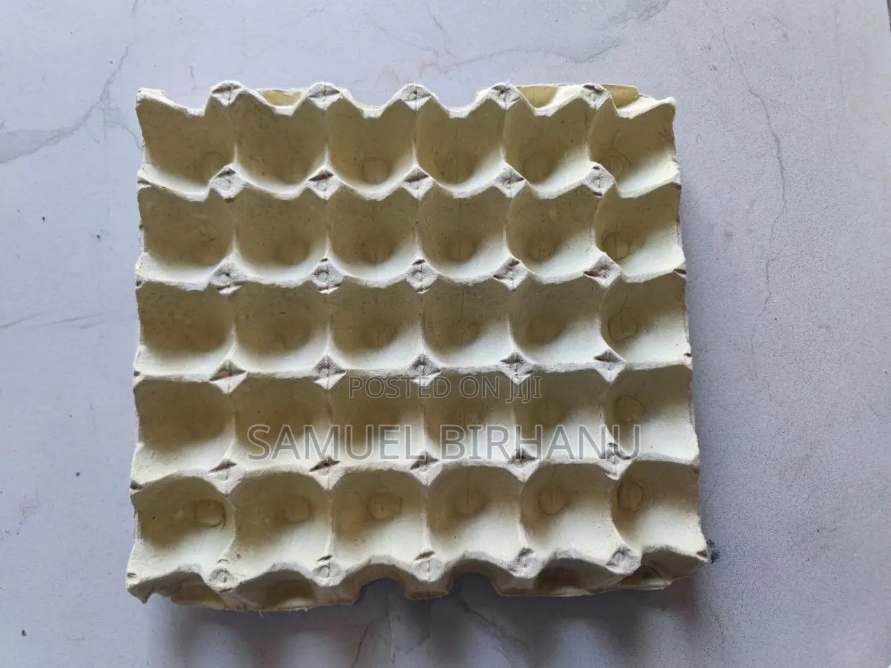 እንቁላል አለ በብዛት