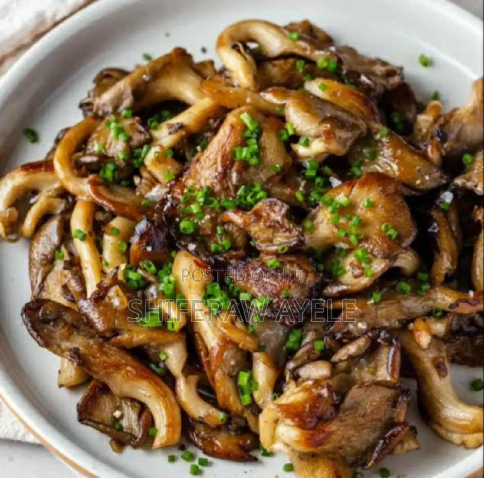 Fresh Oyster Mushroom የኦይስተር ዕንጉዳይ ምርት