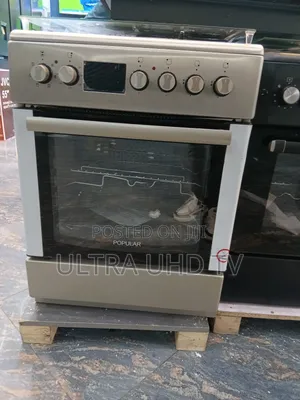 Popular Standing Oven 60/60