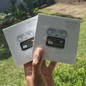 Touch Display Earbuds