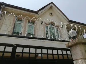 Danger Fence አደገኛ አጥር