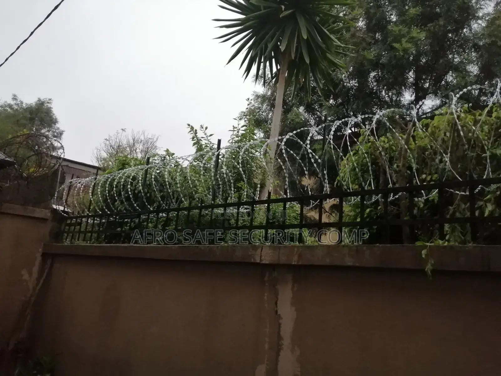 አደገኛ አጥር Danger Fence