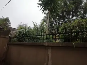 አደገኛ አጥር Danger Fence