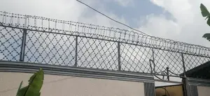 አደገኛ አጥር Danger Fence