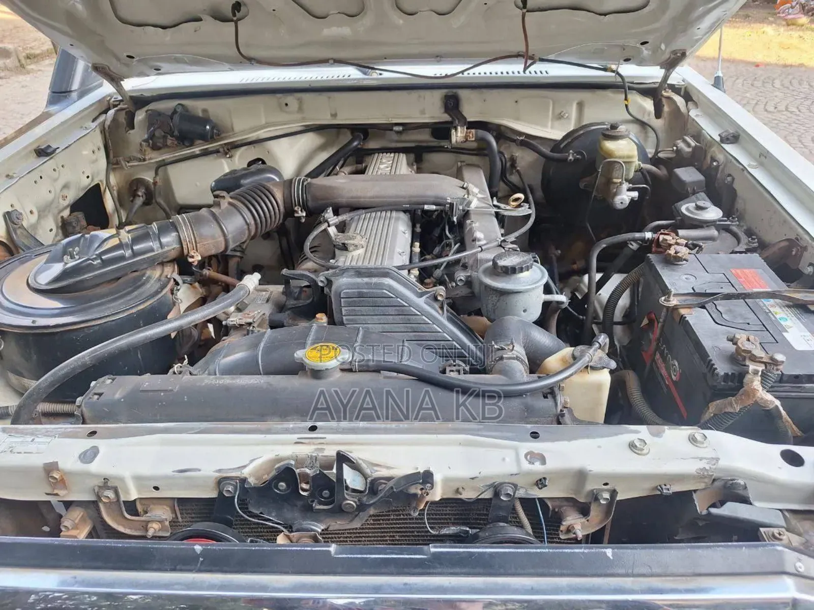 Toyota Land Cruiser 2006 White