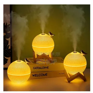 **Aesthetic Humidifier – Adds Moisture Soft Light**