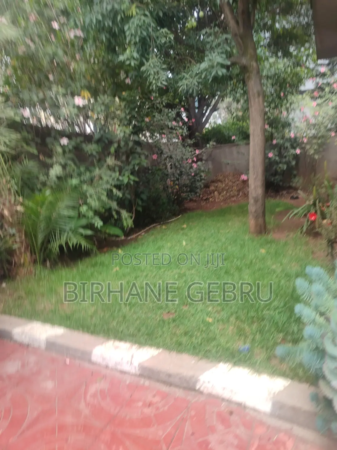 G+2 House Fernshed Guest House for Rent