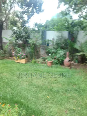 Vill House Semi Fernished Guest Hous for Rent