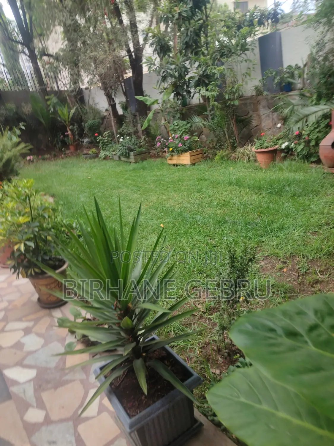 Vill House Semi Fernished Guest Hous for Rent