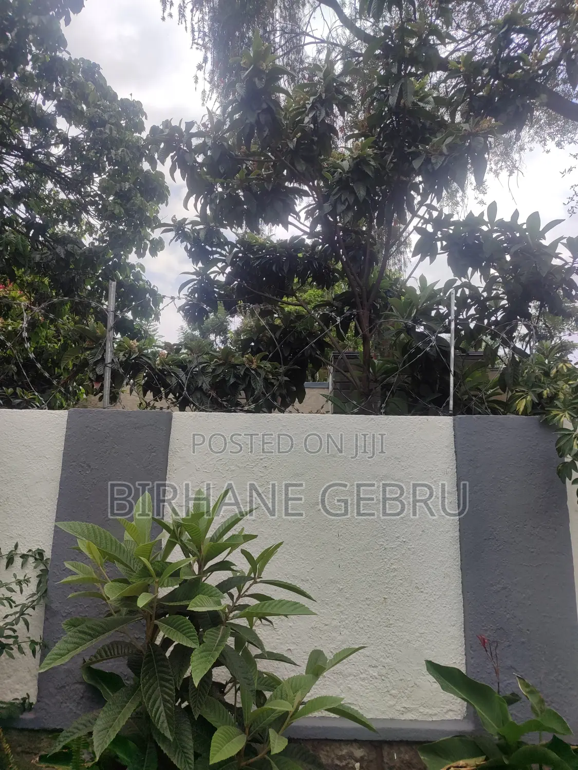 Vill House Semi Fernished Guest Hous for Rent