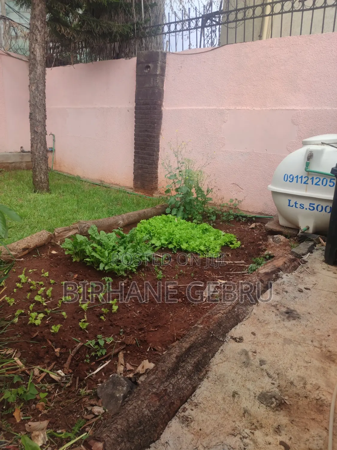 Villa House for Rent