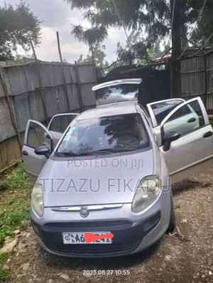 Fiat Punto 2011 Silver