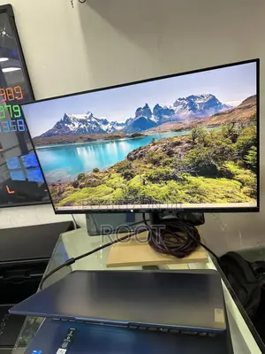 Dell and Frameless Monitors