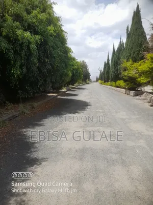 5bdrm Farm House in Roseta Real State, Yeka for sale