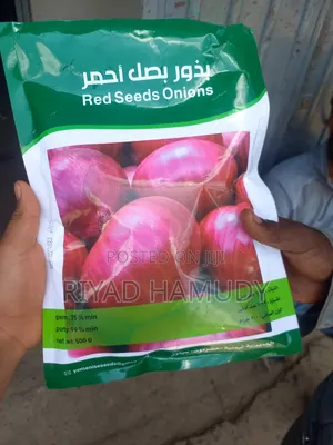 የሽንኩርት ዘር የተለያዬ የዘር አይነት በተመጣጣኝ ዋጋ