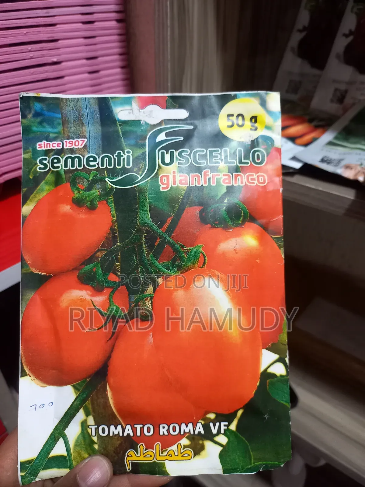 የሽንኩርት ዘር የተለያዬ የዘር አይነት በተመጣጣኝ ዋጋ