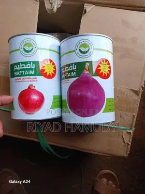 የሽንኩርት ዘር የተለያዬ የዘር አይነት በተመጣጣኝ ዋጋ