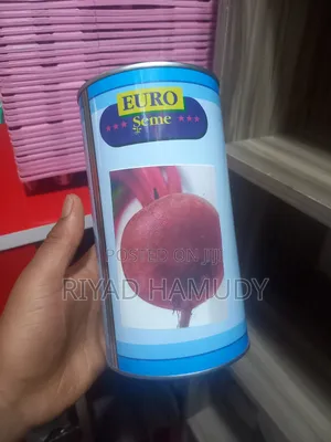 የሽንኩርት ዘር የተለያዬ የዘር አይነት በተመጣጣኝ ዋጋ