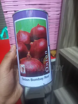 Photo - የሽንኩርት ዘር የተለያዬ የዘር አይነት በተመጣጣኝ ዋጋ