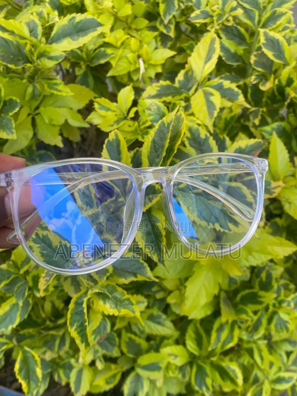 Anti Blue Light Eyeglasses (Computer Eyeglasses)