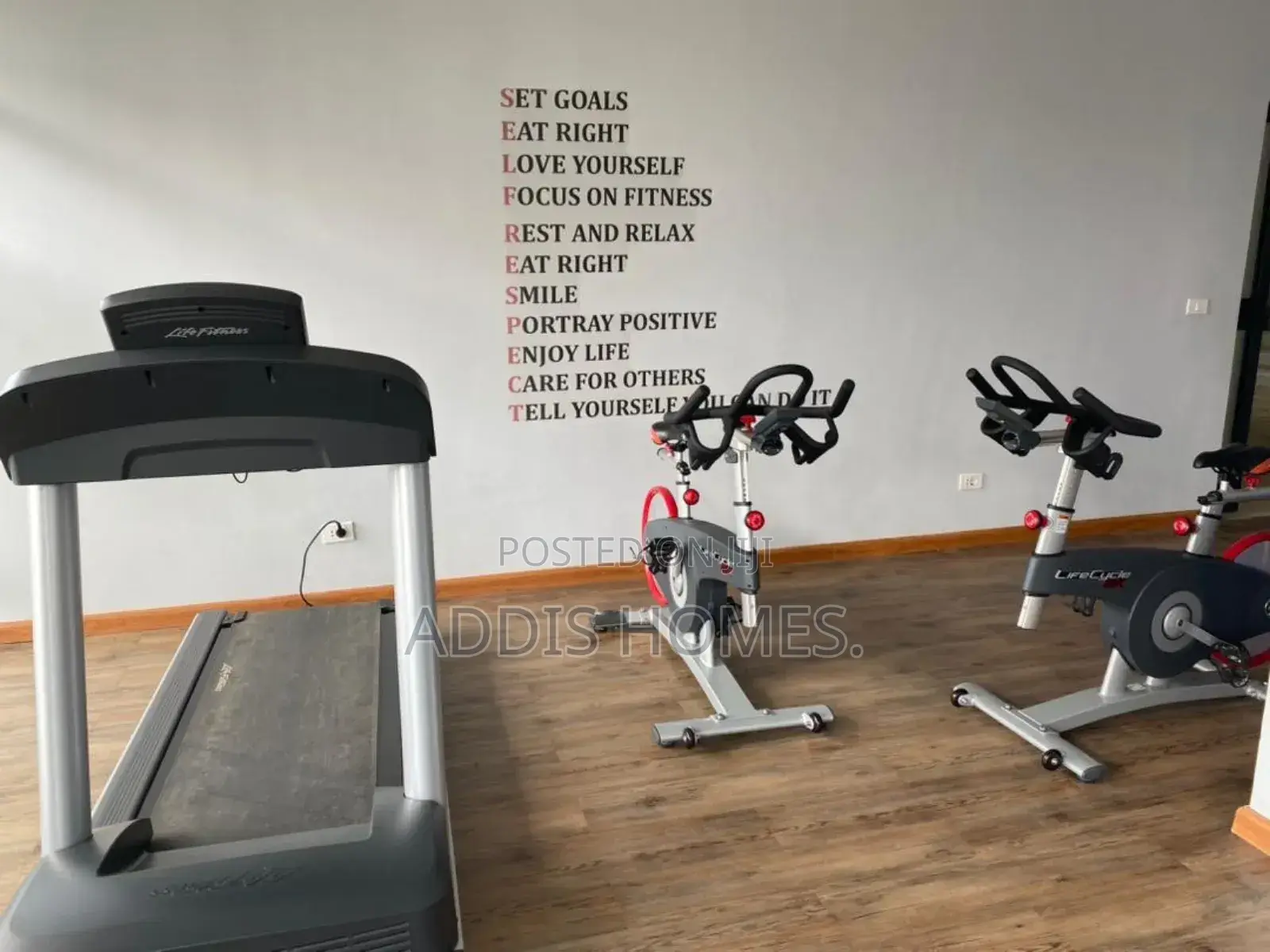 Furnished 3bdrm Apartment in Bole for rent