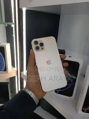 Apple iPhone 12 Pro Max 128 GB Rose Gold