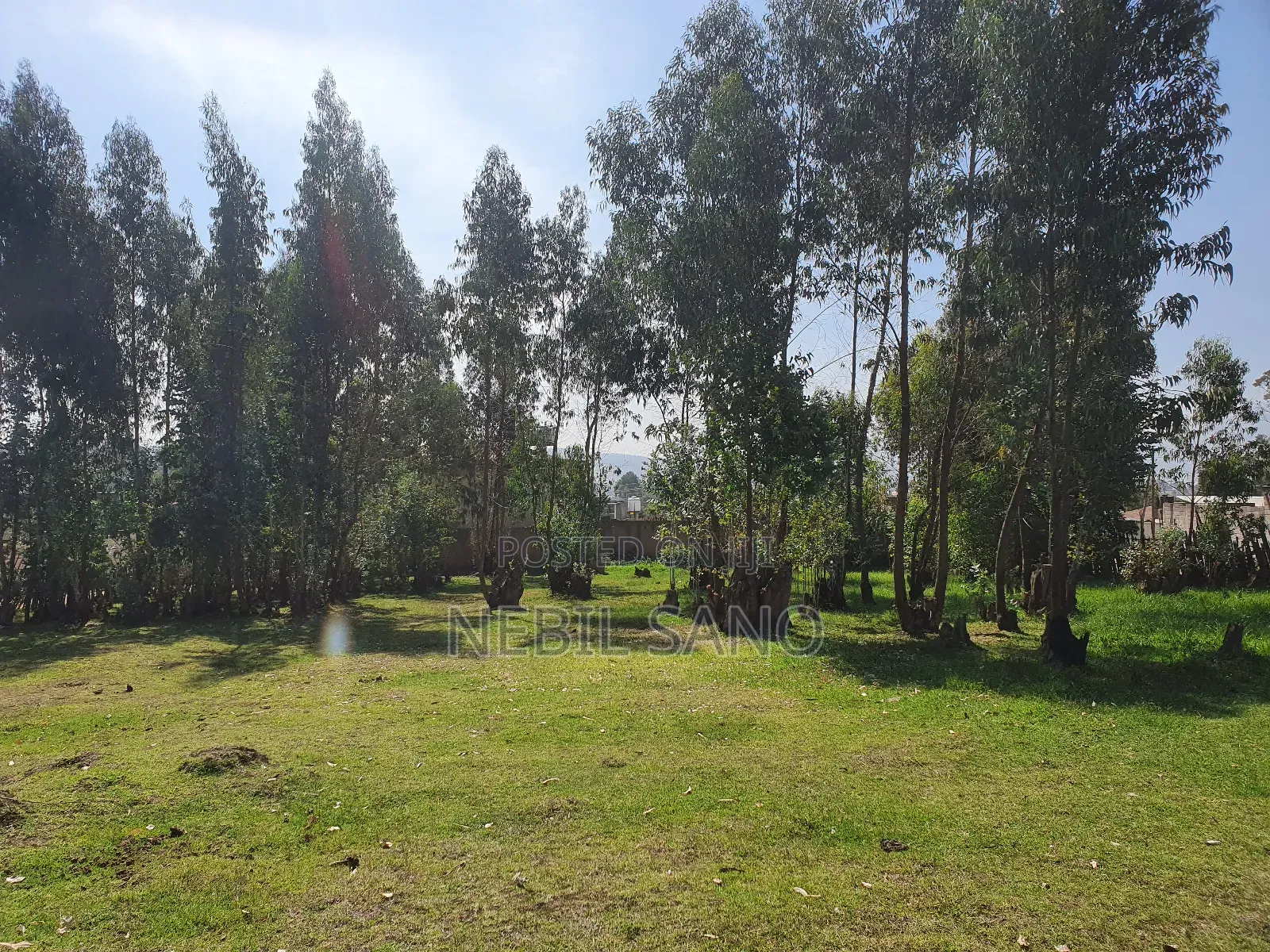 3200 SQM Land Sell in Holeta (መሬት በሆለታ የሚሸጥ)