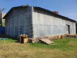 3200 SQM Land Sell in Holeta (መሬት በሆለታ የሚሸጥ)