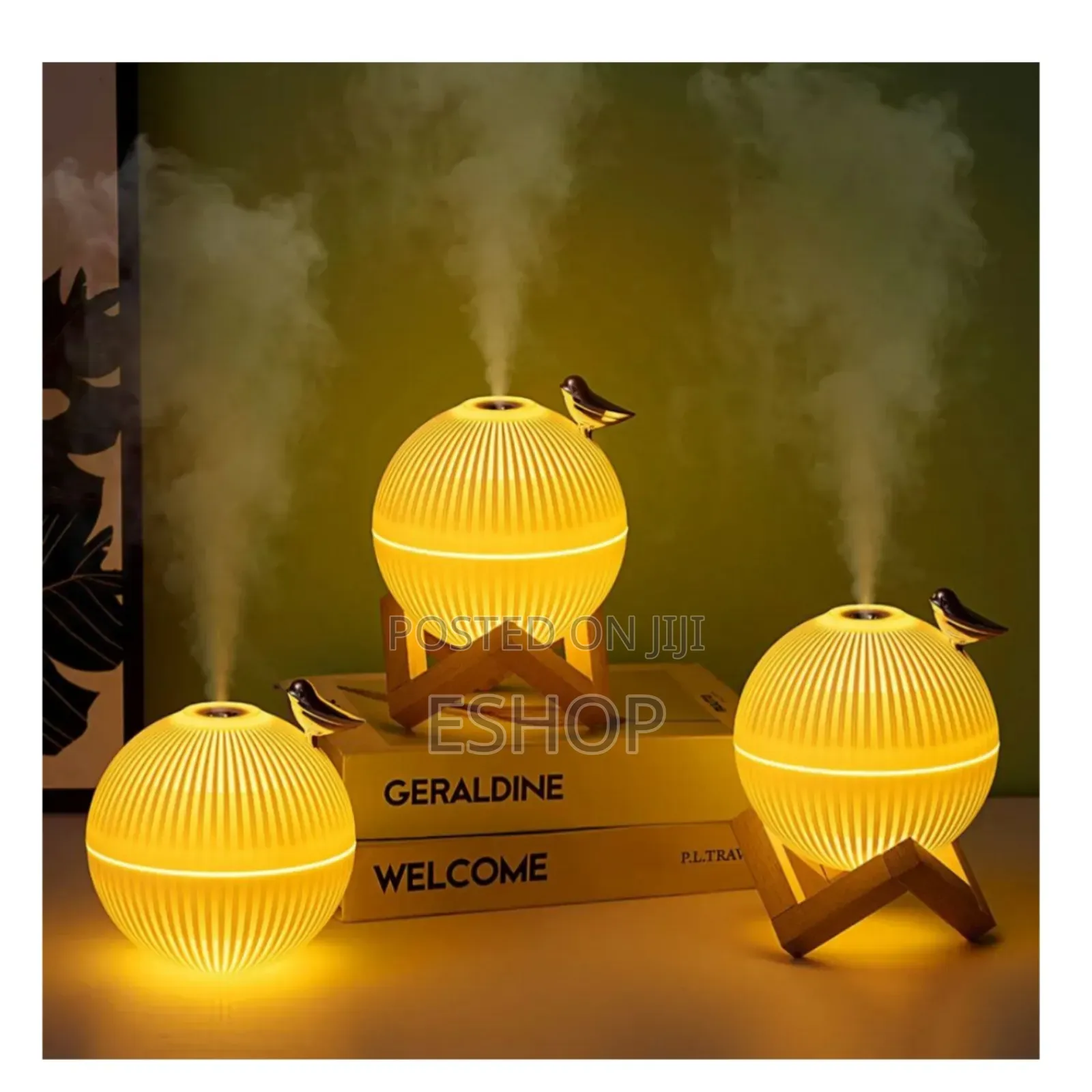 **Decorative Humidifier – Combats Dry Air Effectively**