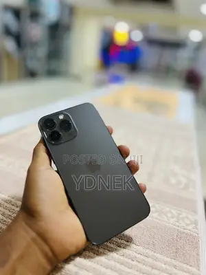 Apple iPhone 13 Pro Max 128 GB Gray