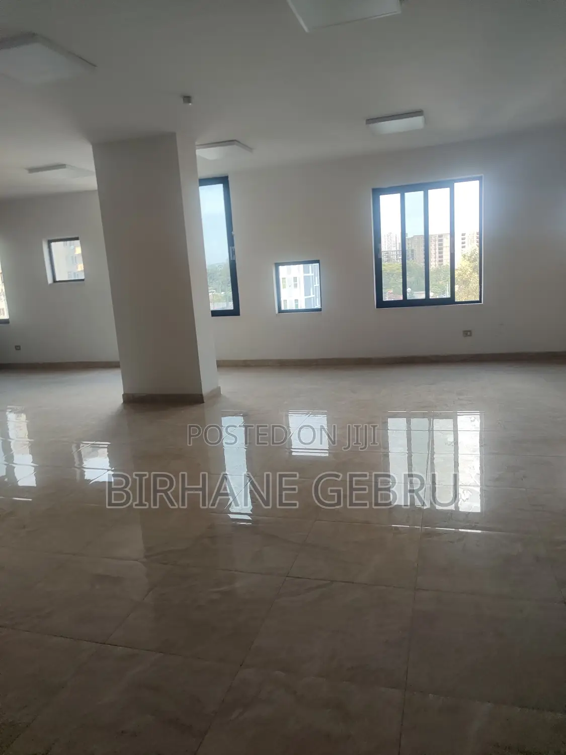 Luxury Apartiment Remt for Ngo Office