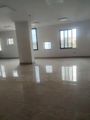 Luxury Apartiment Remt for Ngo Office