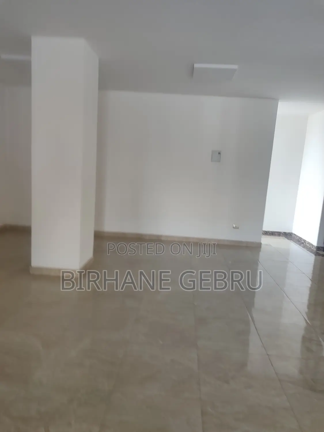 Luxury Apartiment Remt for Ngo Office