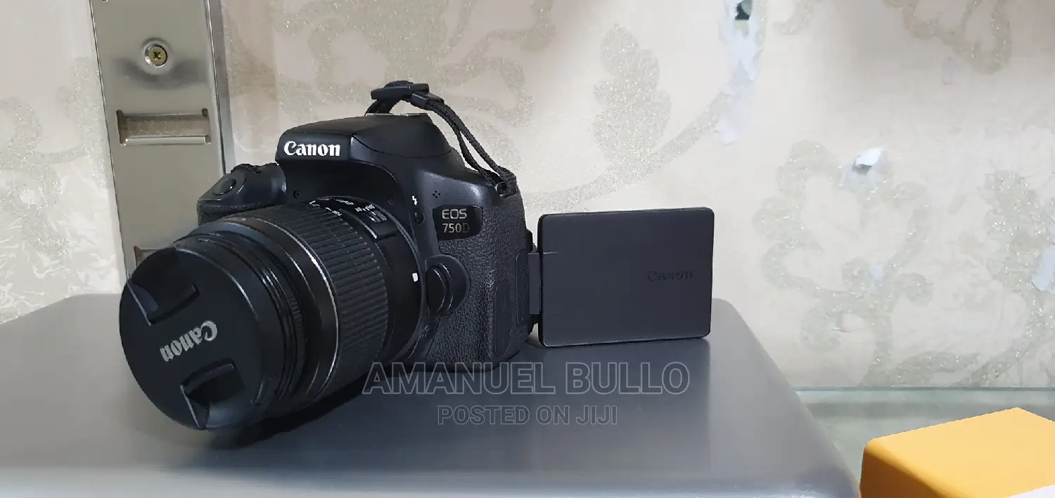 Canon 750d or T6i